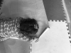 Q1+MEsuqQxSg%2Djz9L73g_thumb_268d